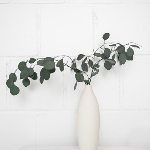 Entdecken Sie die Vielfalt der Fotografie mit Tomasz Becker