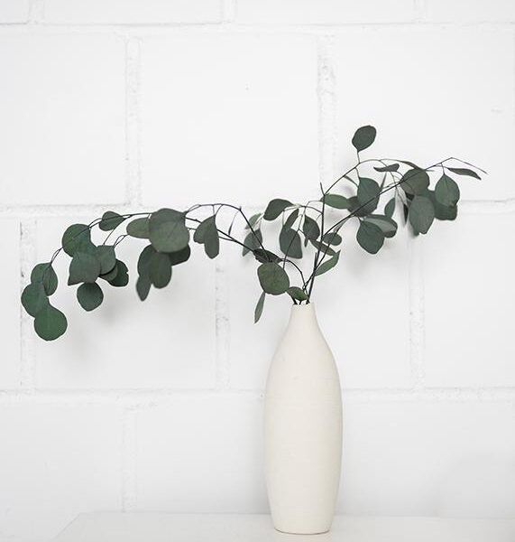 Entdecken Sie die Vielfalt der Fotografie mit Tomasz Becker