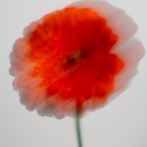 portraitfotografie-tomaszbecker